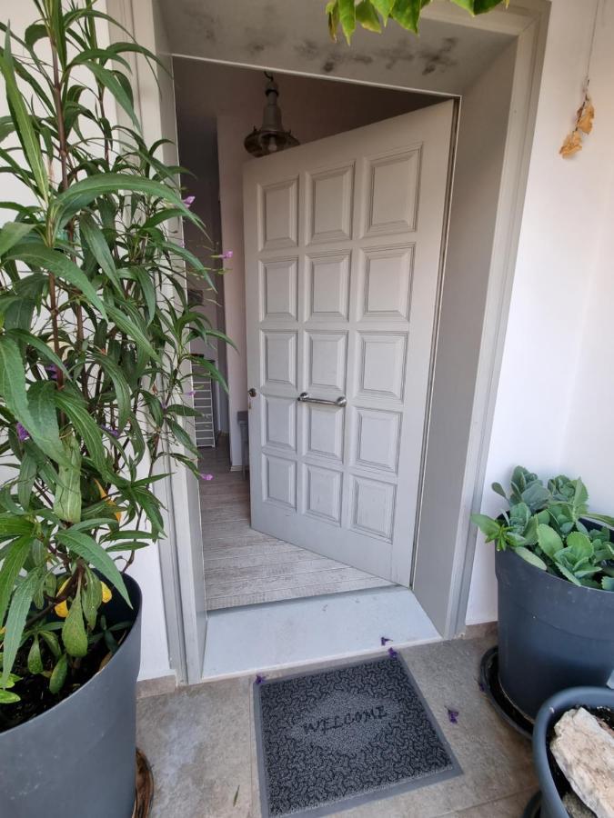 Hara'S Villa In Naousa , Paros Kültér fotó