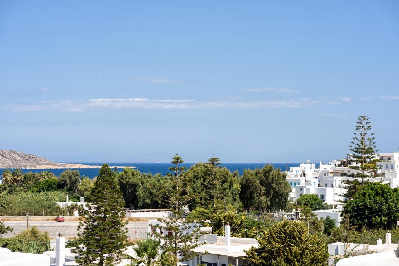 Hara'S Villa In Naousa , Paros Kültér fotó