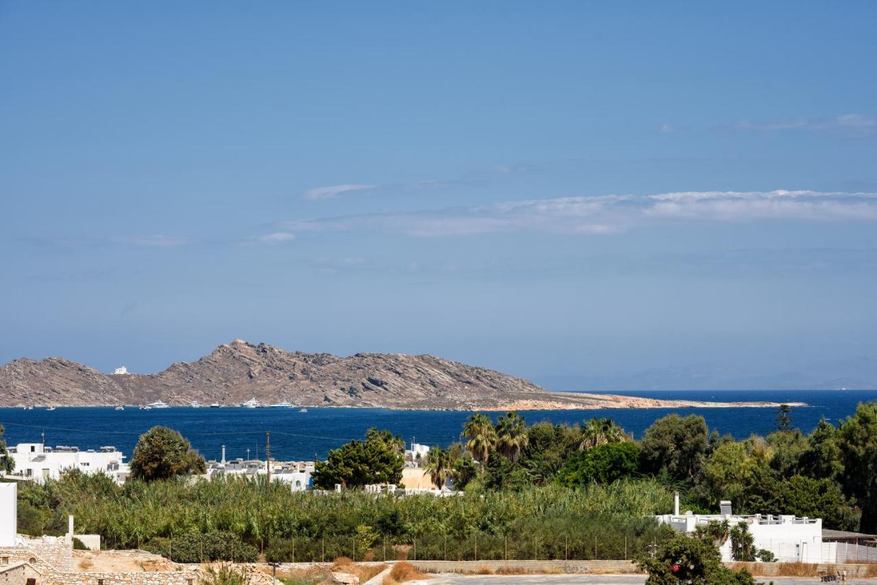 Hara'S Villa In Naousa , Paros Kültér fotó